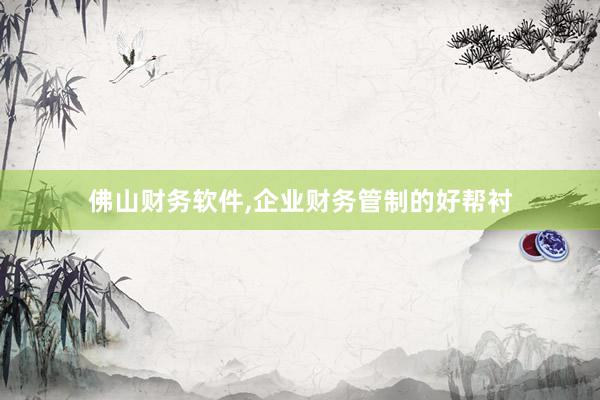 佛山财务软件，企业财务管制的好帮衬